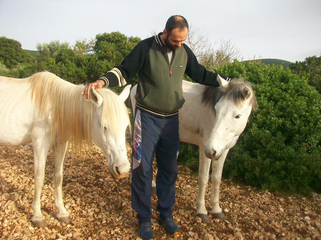 Andreas Katsaros Villas Volimes Luaran gambar