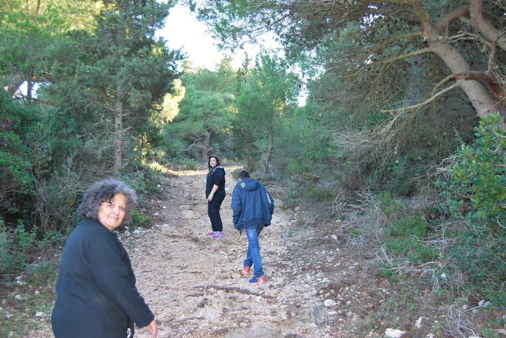 Andreas Katsaros Villas Volimes Luaran gambar